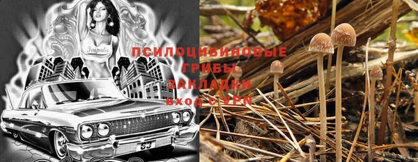 MESCALINE Богданович