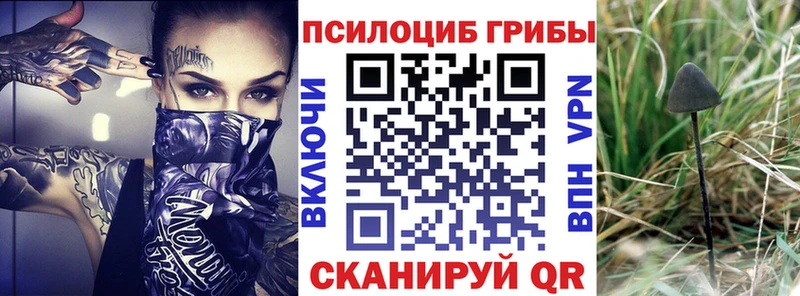 Галлюциногенные грибы MAGIC MUSHROOMS  блэк спрут вход  Пенза 
