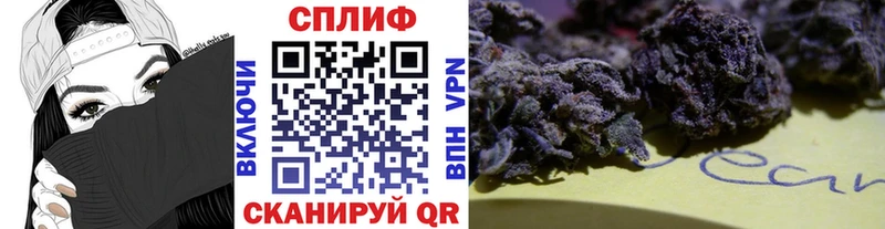 Бошки марихуана марихуана Пенза